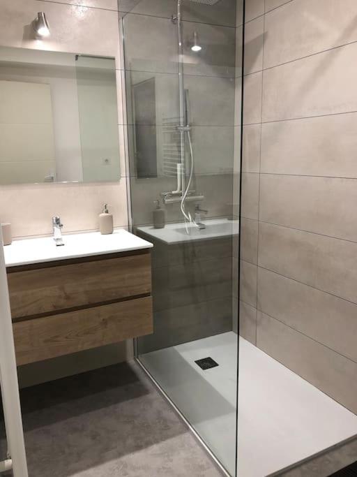 Appartement Moderne & Lumineux 40M2 Centre Luxeuil المظهر الخارجي الصورة