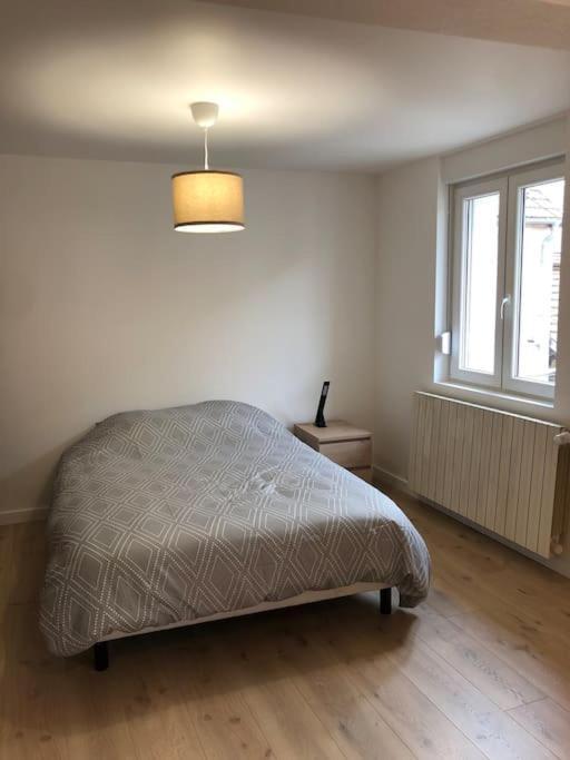 Appartement Moderne & Lumineux 40M2 Centre Luxeuil المظهر الخارجي الصورة