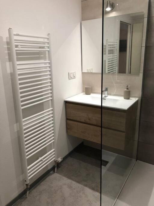 Appartement Moderne & Lumineux 40M2 Centre Luxeuil المظهر الخارجي الصورة