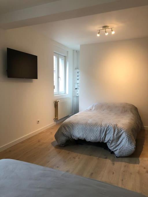 Appartement Moderne & Lumineux 40M2 Centre Luxeuil المظهر الخارجي الصورة